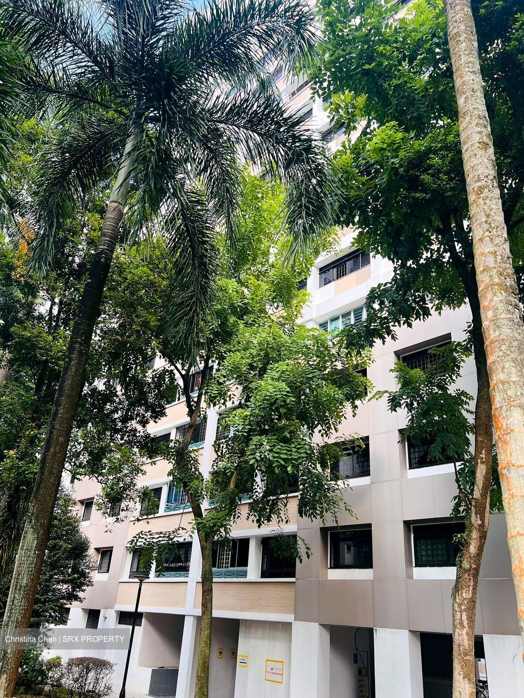 Blk 290B Spring View (Bukit Batok), HDB Executive #620683951